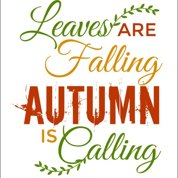 It's Fall Y'all Softstyle® Fitted T-Shirt - Picture 2 of 2